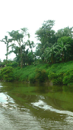 river_back